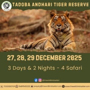 Tadoba Andhari Tiger Reserve 3D-2N 27-29 Dec 25