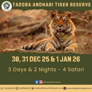 Tadoba Andhari Tiger Reserve 3D-2N 30 Dec 25-1 Jan 26