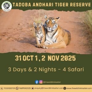 Tadoba Andhari Tiger Reserve 3D-2N 31 Oct-2 Nov 25