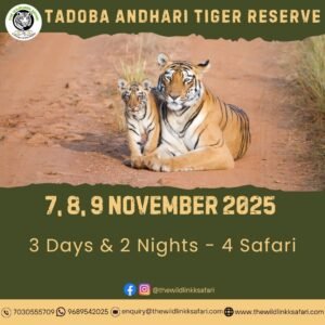 Tadoba Andhari Tiger Reserve 3D-2N 7-9 Nov 25