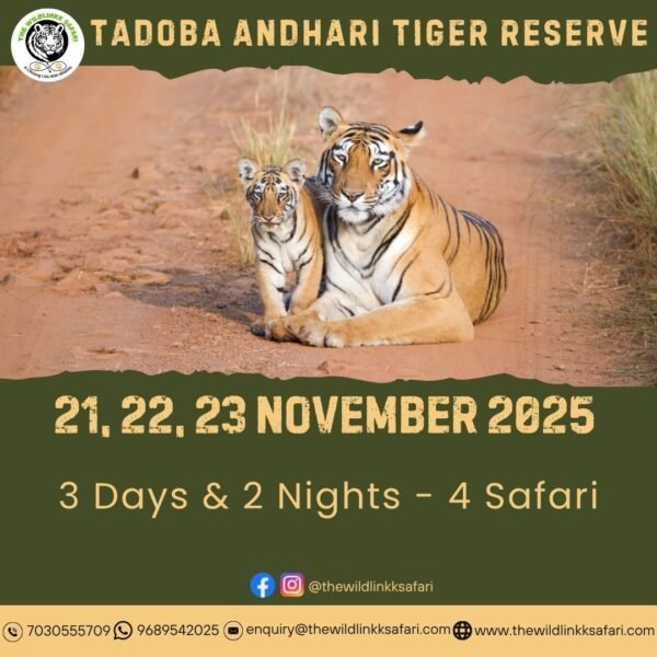 Tadoba Andhari Tiger Reserve 3D-2N 21-23 Nov 25