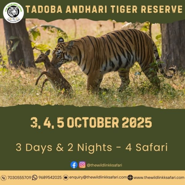 Tadoba Andhari Tiger Reserve 3D-2N 3-5 Oct 25