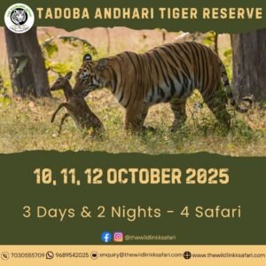 Tadoba Andhari Tiger Reserve 3D-2N 10-12 Oct 25