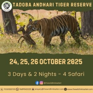 Tadoba Andhari Tiger Reserve 3D-2N 24-26 Oct 25
