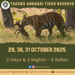 Tadoba Andhari Tiger Reserve 3D-2N 29-31 Oct 25
